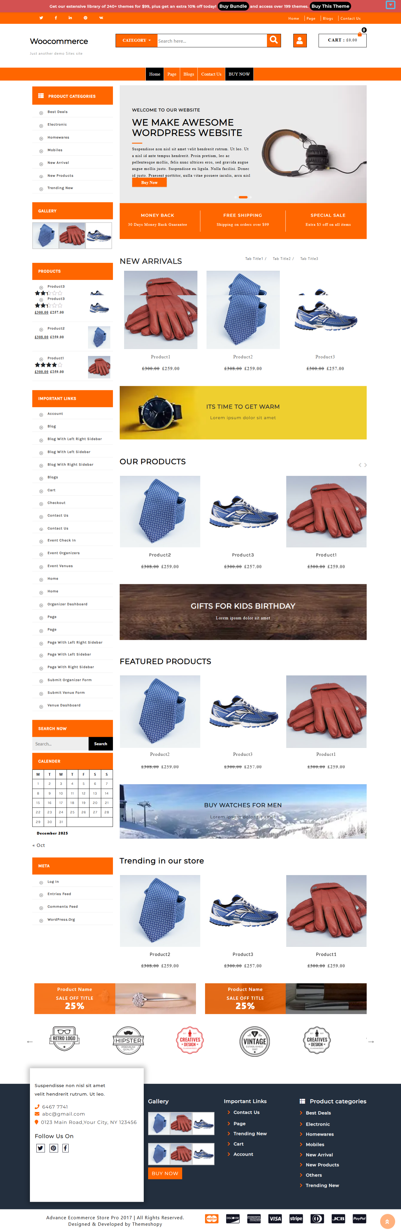 WordPress Ecommerce Theme