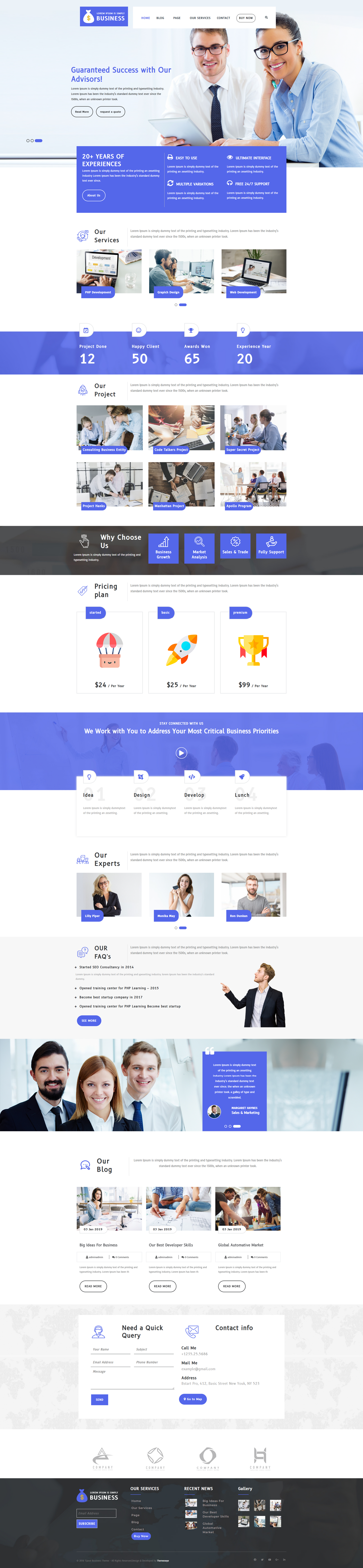 WordPress theme for business