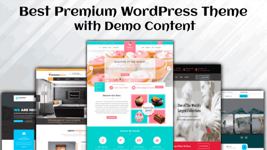 Best Premium WordPress Theme With Demo Content for Easy Website Setup
