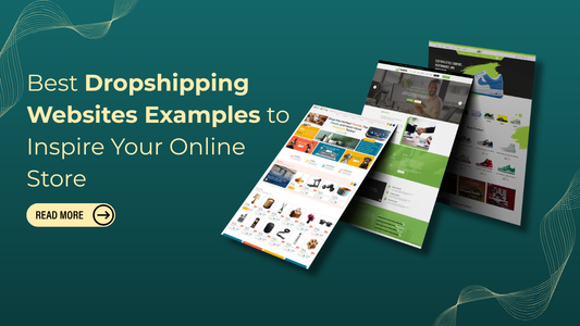 Dropshipping Websites Examples