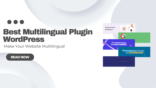 Best Multilingual Plugin WordPress - Make Your Website Multilingual