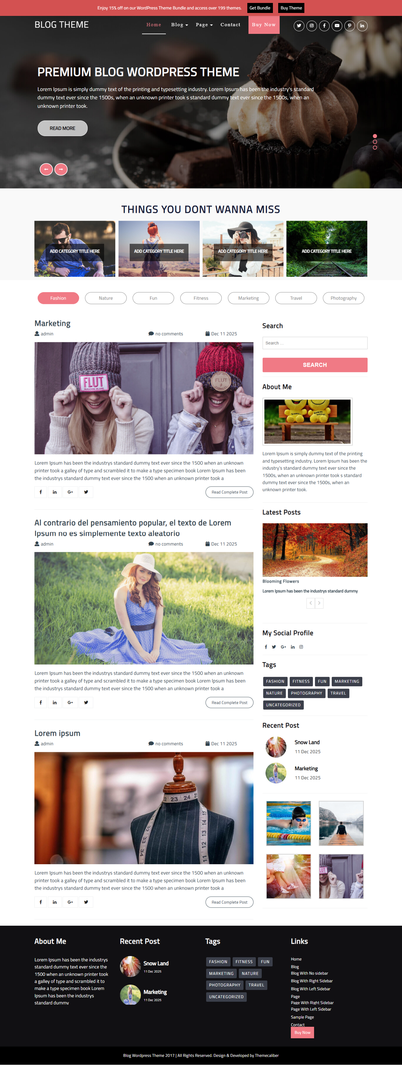 Premium WordPress Blog Theme
