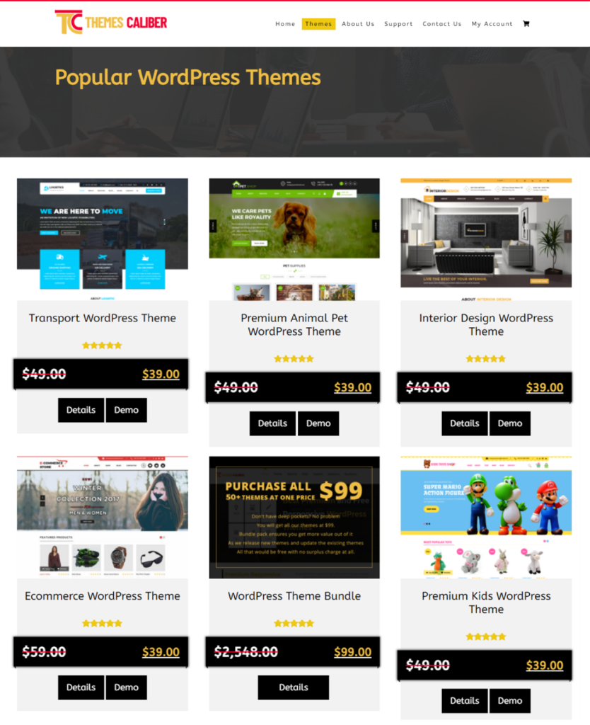 popular WordPress themes