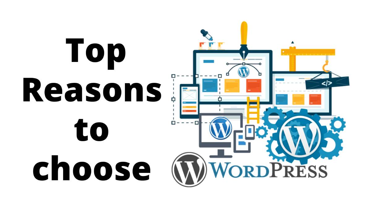 Top Reasons To Choose WordPress To Build Your Website post thumbnail image