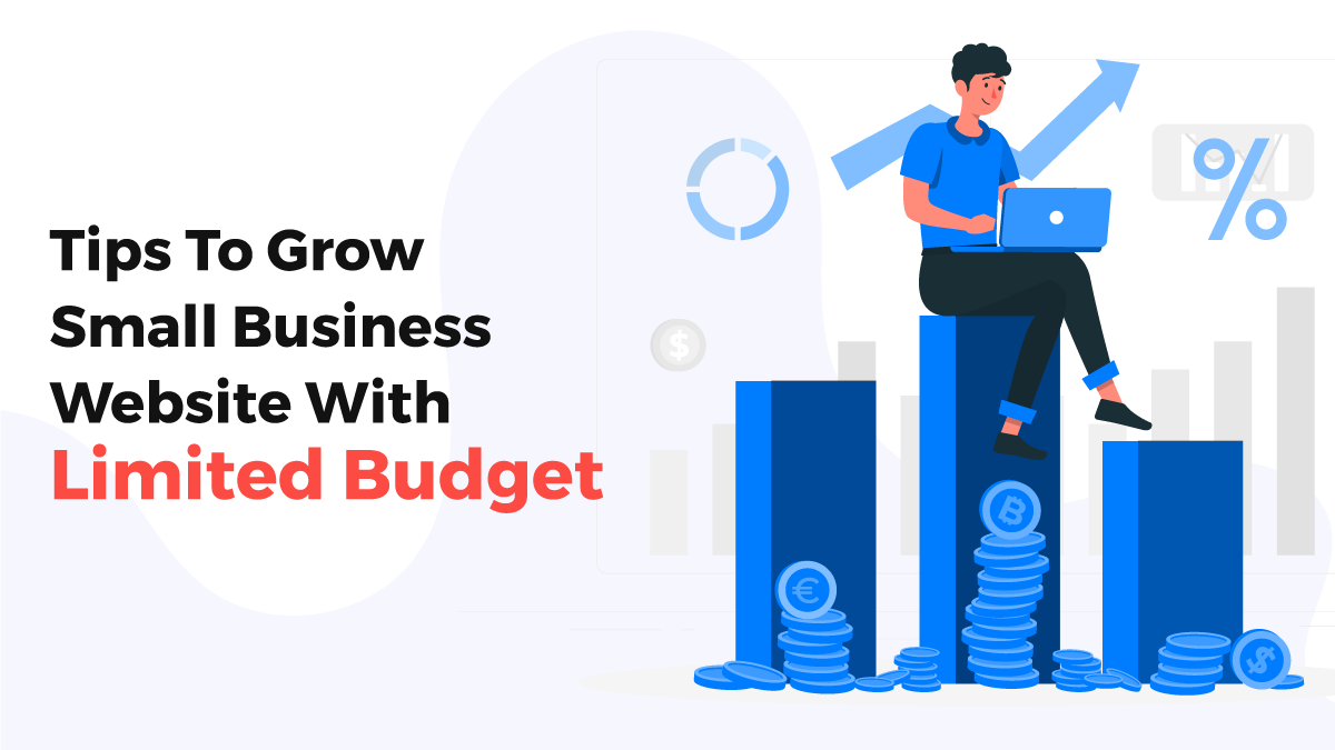Tips To Grow Small Business Website With Limited Budget post thumbnail image